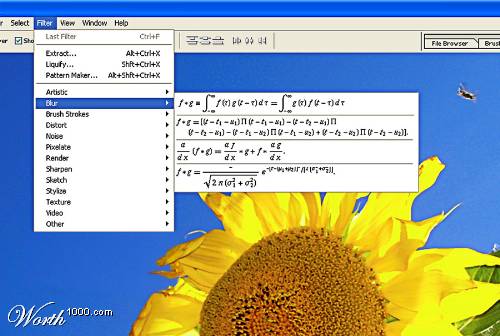 flower_genius